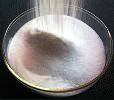 Encapsulated Fumaric Acid